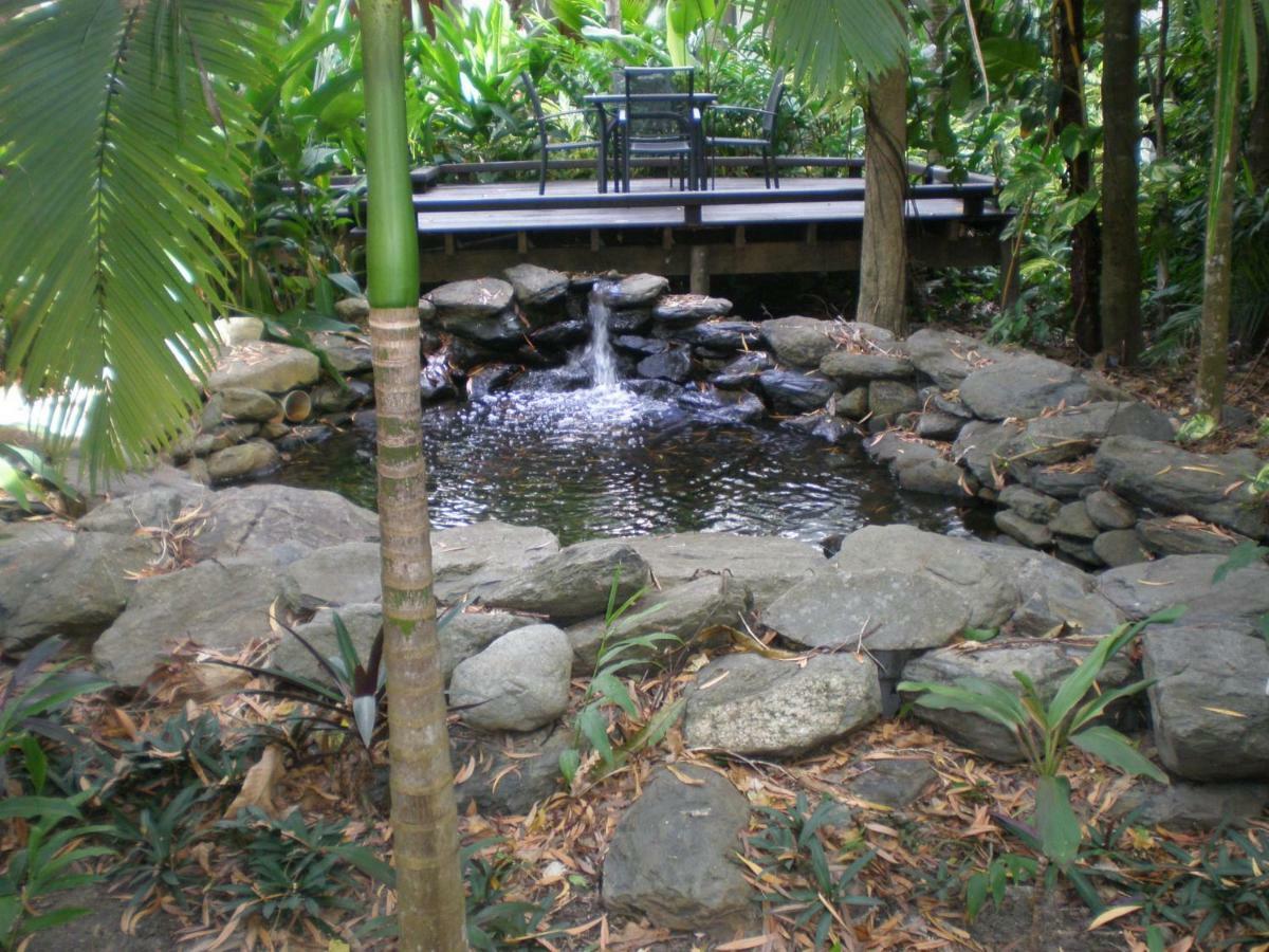 Hidden Gem @ Palm Cove Exterior foto